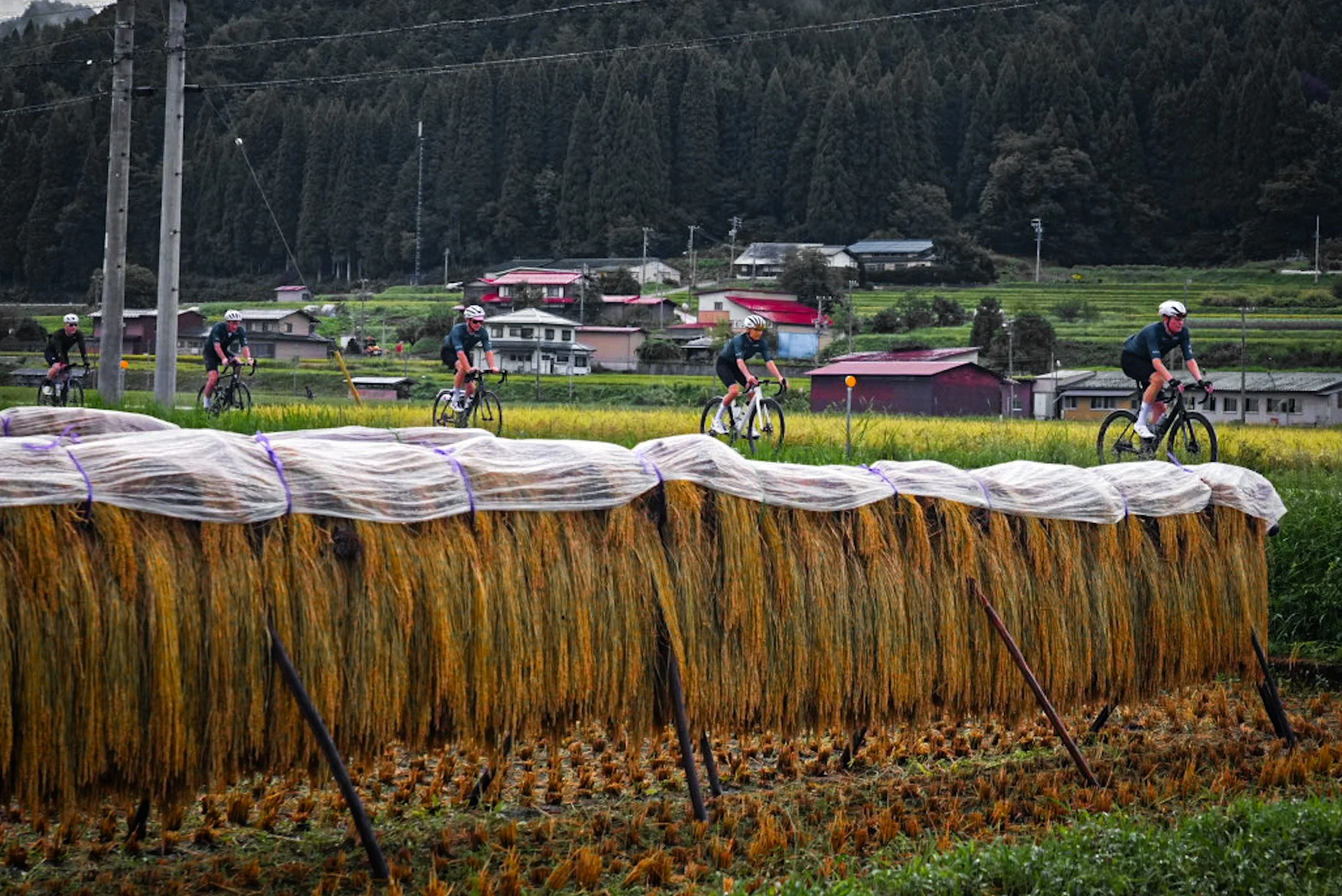 JAPAN: TOKYO TO KYOTO — RAID CYCLING